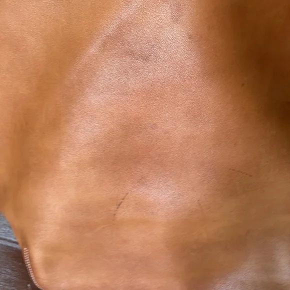 Vintage Coach large Legacy Duffle Bag - Picture 5 of 10